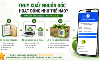 truy xuất nguồn gốc hoạt động như thế nào?